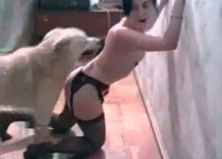 Stockings slut and a hound