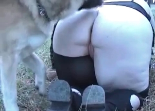 Stunning dog fucking like a pro